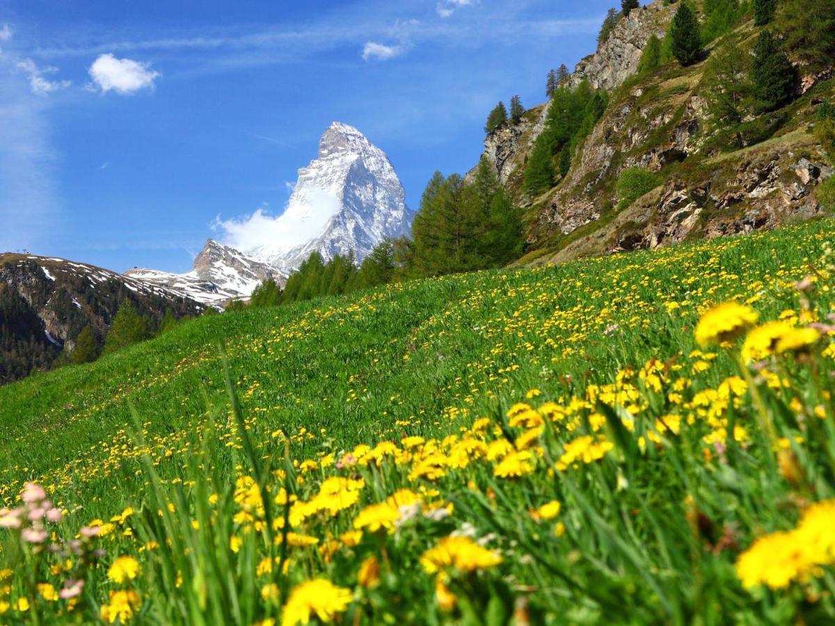 Apartment Sungold-1 By Interhome Zermatt Zewnętrze zdjęcie